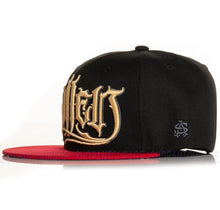 Load image into Gallery viewer, Sullen Art Collective Remo Skull SCA5748 New Snapback Men`s Flat Snapback Hat